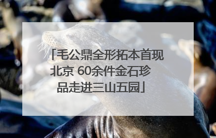毛公鼎全形拓本首现北京 60余件金石珍品走进三山五园