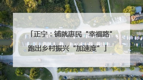 正宁：铺就惠民“幸福路”跑出乡村振兴“加速度”