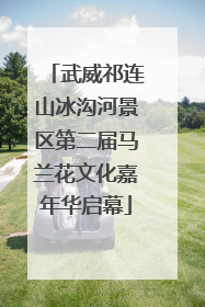武威祁连山冰沟河景区第二届马兰花文化嘉年华启幕