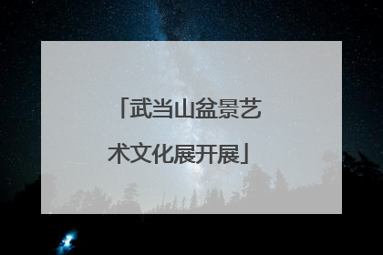 武当山盆景艺术文化展开展