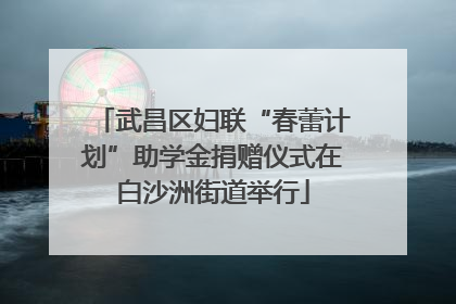 武昌区妇联“春蕾计划”助学金捐赠仪式在白沙洲街道举行