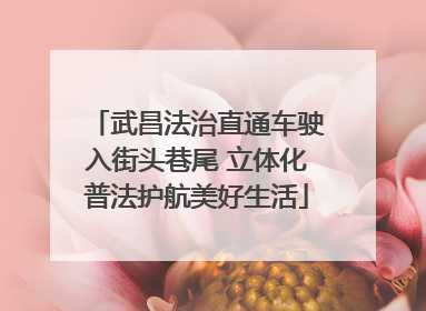 武昌法治直通车驶入街头巷尾 立体化普法护航美好生活