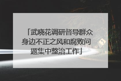 武晓花调研督导群众身边不正之风和腐败问题集中整治工作
