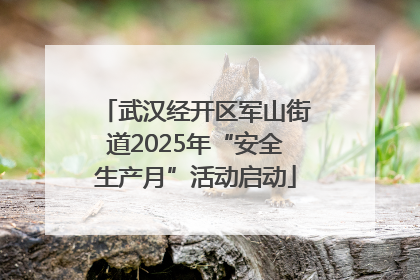 武汉经开区军山街道2025年“安全生产月”活动启动