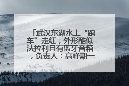 武汉东湖水上“跑车”走红，外形酷似法拉利且有蓝牙音箱，负责人：高峰期一两百人排队