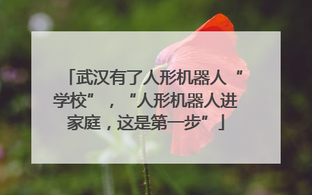 武汉有了人形机器人“学校”，“人形机器人进家庭，这是第一步”