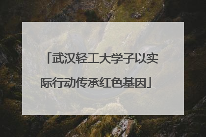 武汉轻工大学子以实际行动传承红色基因