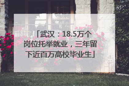 武汉：18.5万个岗位托举就业，三年留下近百万高校毕业生