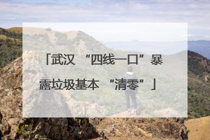 武汉 “四线一口”暴露垃圾基本 “清零”