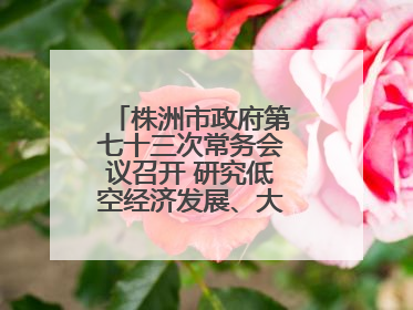 株洲市政府第七十三次常务会议召开 研究低空经济发展、大抓落实等工作