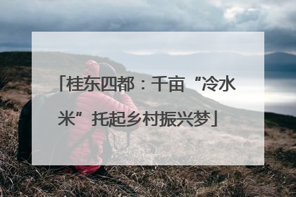 桂东四都：千亩“冷水米”托起乡村振兴梦