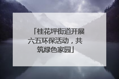 桂花坪街道开展六五环保活动，共筑绿色家园