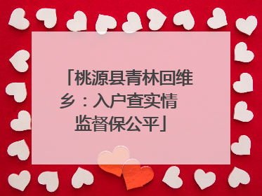 桃源县青林回维乡：入户查实情 监督保公平