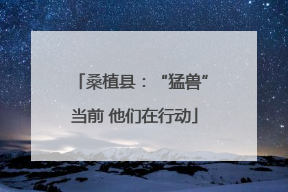 桑植县：“猛兽”当前 他们在行动