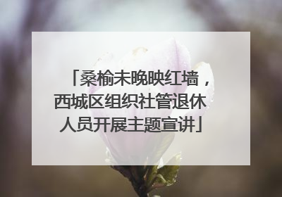 桑榆未晚映红墙，西城区组织社管退休人员开展主题宣讲