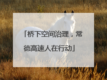 桥下空间治理，常德高速人在行动