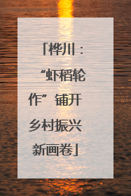 桦川：“虾稻轮作”铺开乡村振兴新画卷