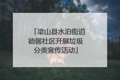 梁山县水泊街道德馨社区开展垃圾分类宣传活动