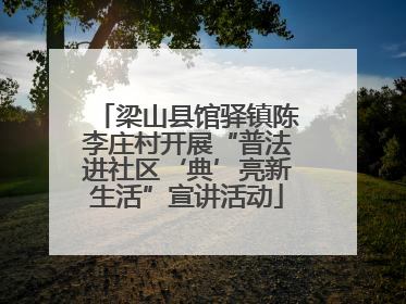 梁山县馆驿镇陈李庄村开展“普法进社区‘典’亮新生活”宣讲活动