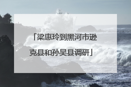 梁惠玲到黑河市逊克县和孙吴县调研