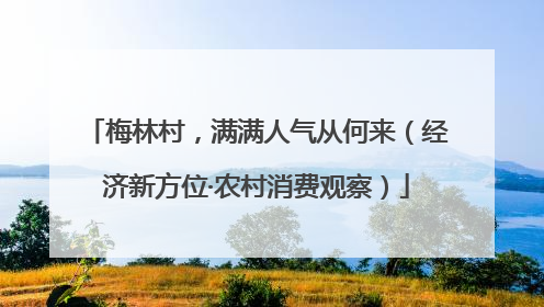 梅林村，满满人气从何来（经济新方位·农村消费观察）