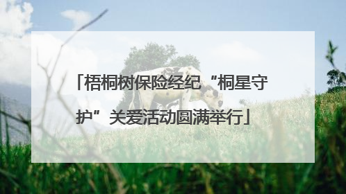 梧桐树保险经纪“桐星守护”关爱活动圆满举行