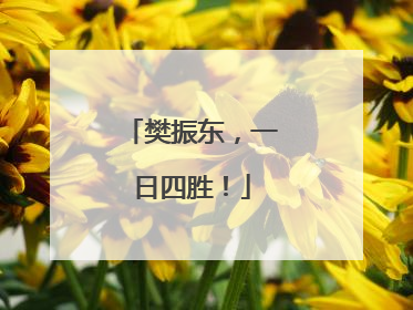 樊振东，一日四胜！