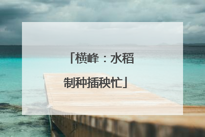 横峰：水稻制种插秧忙