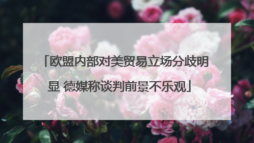 欧盟内部对美贸易立场分歧明显 德媒称谈判前景不乐观