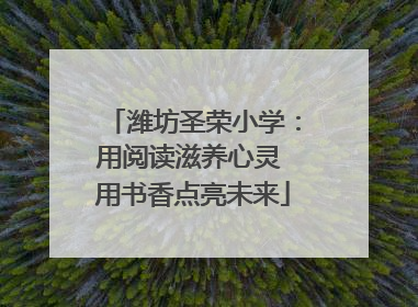 潍坊圣荣小学：用阅读滋养心灵 用书香点亮未来