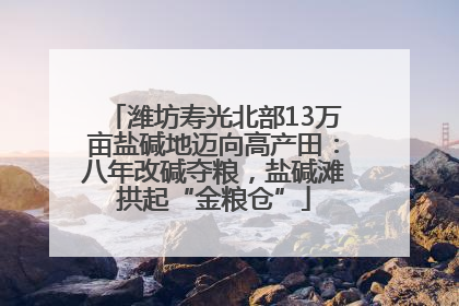 潍坊寿光北部13万亩盐碱地迈向高产田：八年改碱夺粮，盐碱滩拱起“金粮仓”