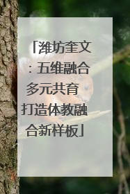 潍坊奎文：五维融合多元共育 打造体教融合新样板