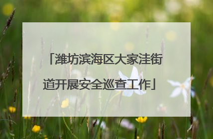 潍坊滨海区大家洼街道开展安全巡查工作