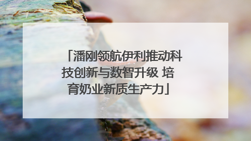 潘刚领航伊利推动科技创新与数智升级 培育奶业新质生产力
