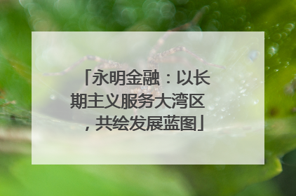 永明金融：以长期主义服务大湾区，共绘发展蓝图