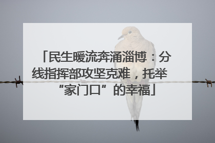 民生暖流奔涌淄博：分线指挥部攻坚克难，托举“家门口”的幸福
