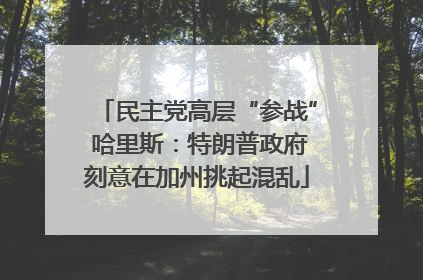 民主党高层“参战” 哈里斯：特朗普政府刻意在加州挑起混乱