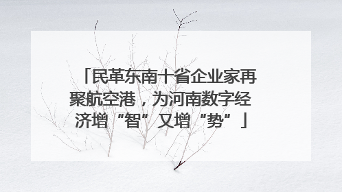 民革东南十省企业家再聚航空港，为河南数字经济增“智”又增“势”