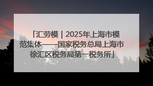 汇劳模｜2025年上海市模范集体——国家税务总局上海市徐汇区税务局第一税务所