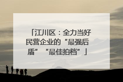 江川区：全力当好民营企业的“最强后盾”“最佳拍档”