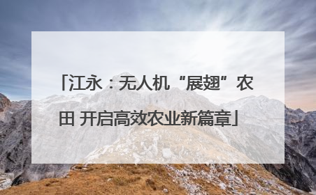 江永：无人机“展翅”农田 开启高效农业新篇章
