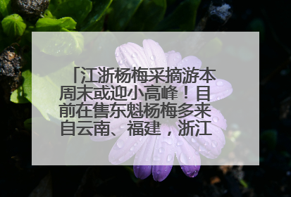 江浙杨梅采摘游本周末或迎小高峰！目前在售东魁杨梅多来自云南、福建，浙江露天东魁杨梅6月中旬大量上市