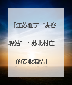 江苏睢宁“麦客驿站”：苏北村庄的麦收温情
