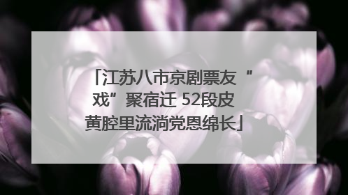 江苏八市京剧票友“戏”聚宿迁 52段皮黄腔里流淌党恩绵长