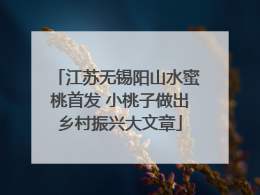 江苏无锡阳山水蜜桃首发 小桃子做出乡村振兴大文章