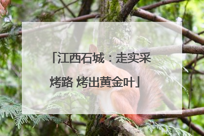 江西石城：走实采烤路 烤出黄金叶