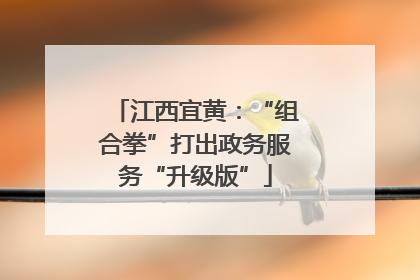 江西宜黄：“组合拳”打出政务服务“升级版”