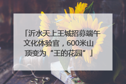 沂水天上王城招募端午文化体验官，600米山顶变为“王的花园”