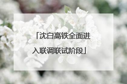 沈白高铁全面进入联调联试阶段