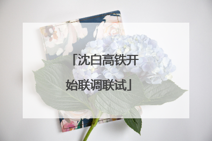 沈白高铁开始联调联试